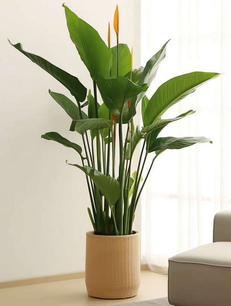 图片[45]-全球设计案例智能库_OJBKAI.COM绿植盆栽花艺Midjourney灵感图库-_设计智库－全球设计案例智能库_OJBKAI.COM-全球设计案例智能库_OJBKAI.COM设计智库