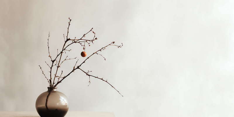 图片[34]-全球设计案例智能库_OJBKAI.COM禅意插花Midjourney灵感图库-_设计智库－全球设计案例智能库_OJBKAI.COM-全球设计案例智能库_OJBKAI.COM设计智库