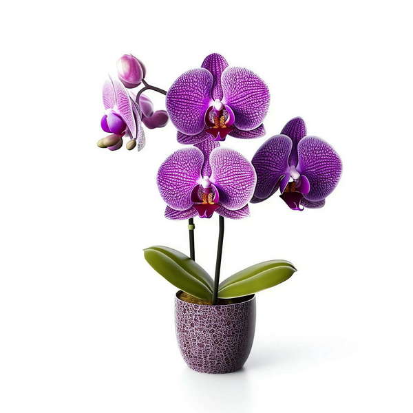 图片[54]-全球设计案例智能库_OJBKAI.COM仿真插花Midjourney灵感图库-_设计智库－全球设计案例智能库_OJBKAI.COM-全球设计案例智能库_OJBKAI.COM设计智库