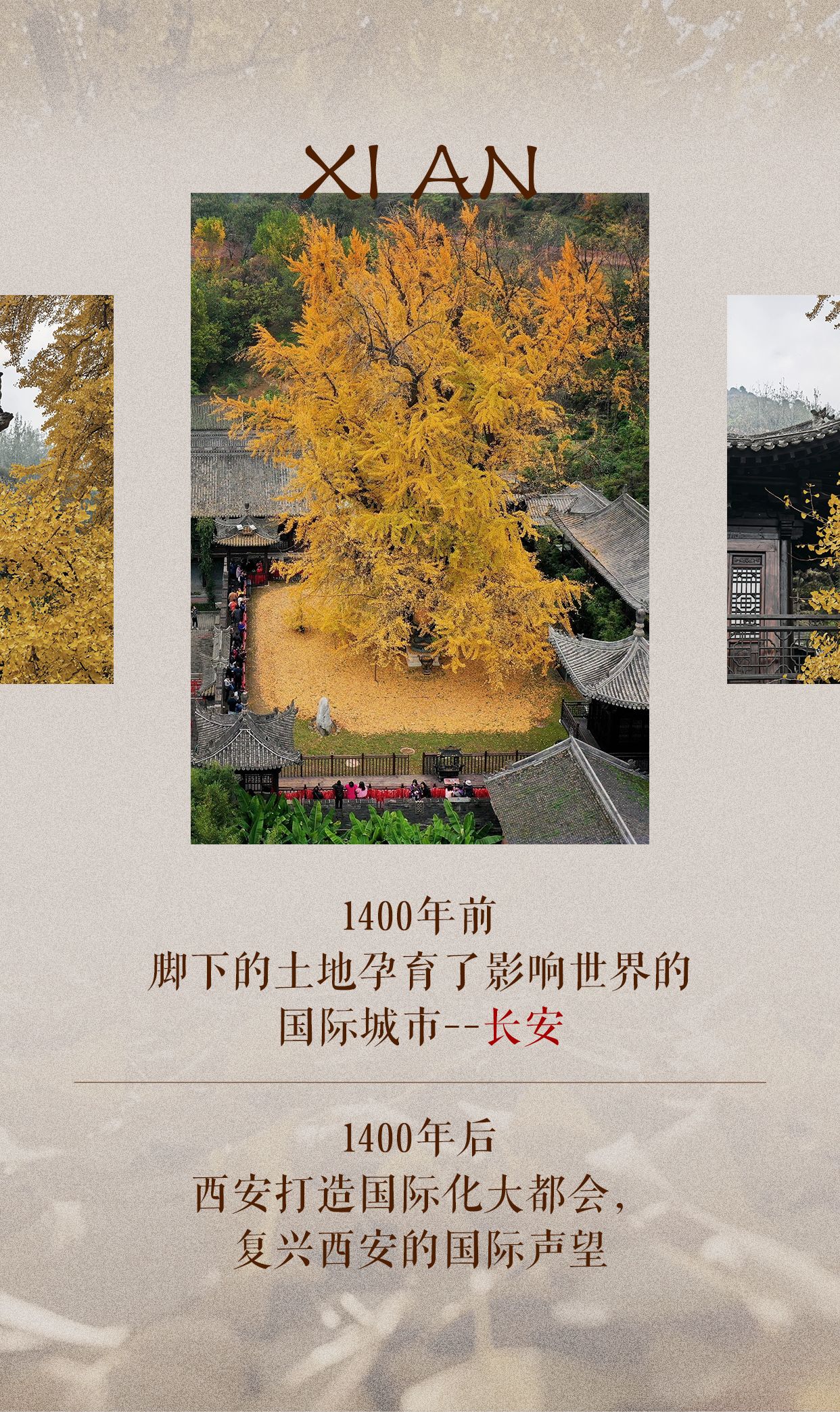 22ff7e87b8479135d2fc0d1651c84db8