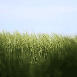 24d83dfad6e1569108500f2773792294