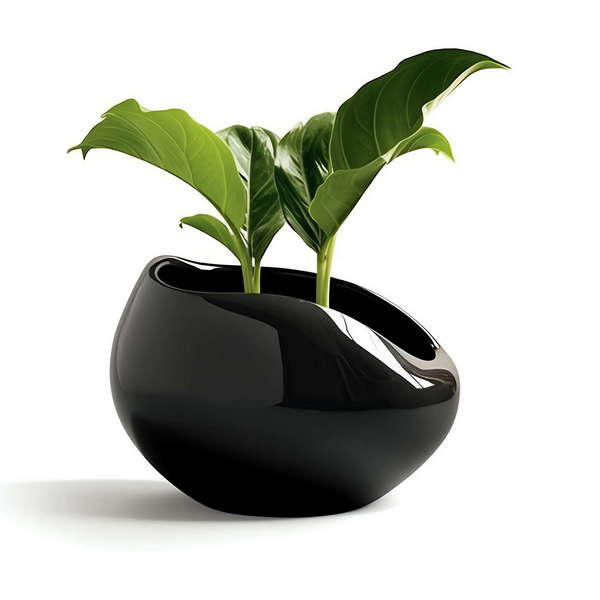 图片[14]-全球设计案例智能库_OJBKAI.COM绿植盆栽花艺Midjourney灵感图库-_设计智库－全球设计案例智能库_OJBKAI.COM-全球设计案例智能库_OJBKAI.COM设计智库