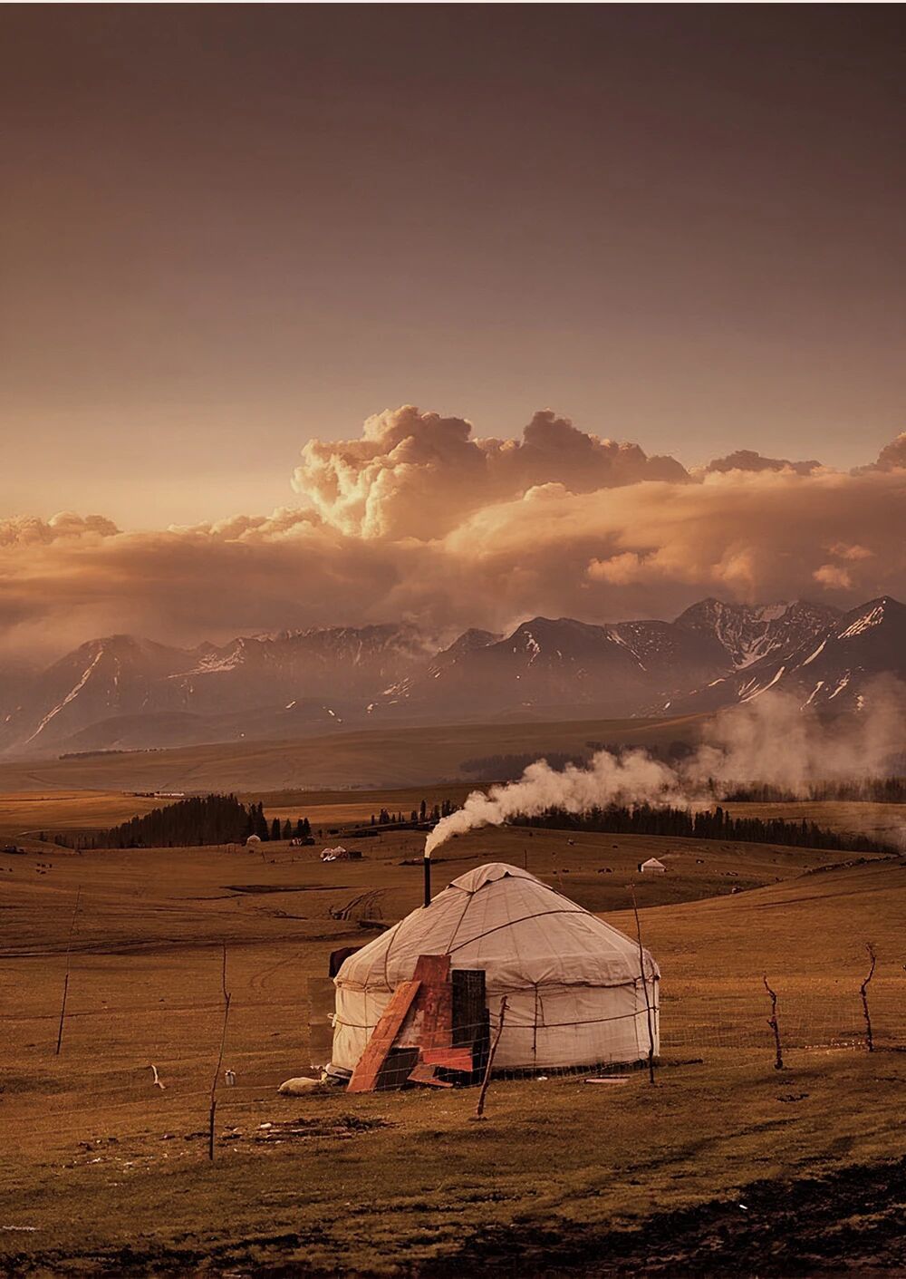 29d1155a9a503a8e595fa29a7516bb7e