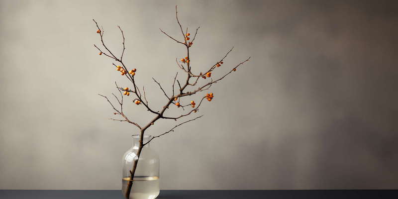 图片[38]-全球设计案例智能库_OJBKAI.COM禅意插花Midjourney灵感图库-_设计智库－全球设计案例智能库_OJBKAI.COM-全球设计案例智能库_OJBKAI.COM设计智库