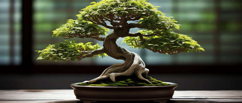 图片[17]-全球设计案例智能库_OJBKAI.COM中式盆景Midjourney灵感图库-_设计智库－全球设计案例智能库_OJBKAI.COM-全球设计案例智能库_OJBKAI.COM设计智库