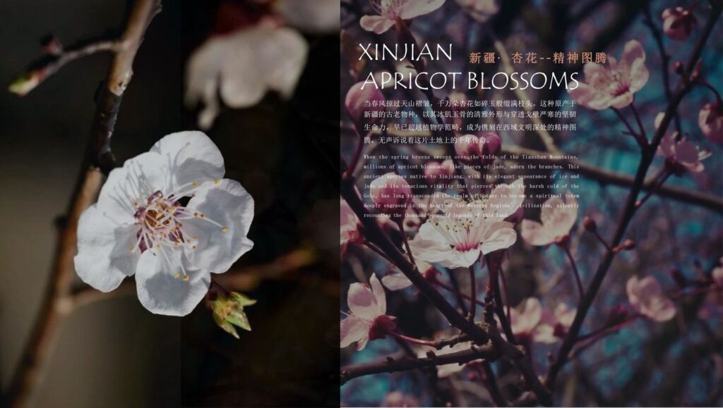 图片[8]-全球设计案例智能库_OJBKAI.COM【CCD】新疆璞云会所室内设计方案册 | PPT（可编辑）+PDF+JPG | 43P | 134M-全球设计案例智能库_OJBKAI.COM设计智库