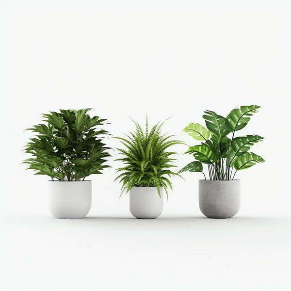 图片[40]-全球设计案例智能库_OJBKAI.COM绿植Midjourney灵感图库-_设计智库－全球设计案例智能库_OJBKAI.COM-全球设计案例智能库_OJBKAI.COM设计智库