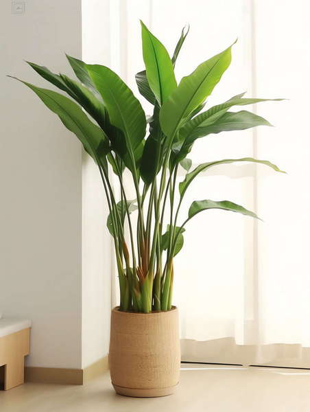 图片[44]-全球设计案例智能库_OJBKAI.COM绿植盆栽花艺Midjourney灵感图库-_设计智库－全球设计案例智能库_OJBKAI.COM-全球设计案例智能库_OJBKAI.COM设计智库