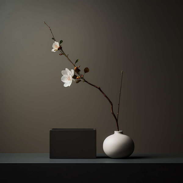 图片[47]-全球设计案例智能库_OJBKAI.COM禅意插花Midjourney灵感图库-_设计智库－全球设计案例智能库_OJBKAI.COM-全球设计案例智能库_OJBKAI.COM设计智库