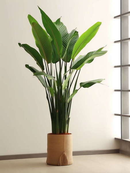 图片[46]-全球设计案例智能库_OJBKAI.COM绿植盆栽花艺Midjourney灵感图库-_设计智库－全球设计案例智能库_OJBKAI.COM-全球设计案例智能库_OJBKAI.COM设计智库