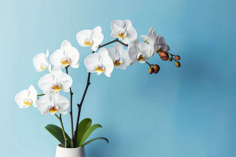 图片[26]-全球设计案例智能库_OJBKAI.COM仿真插花Midjourney灵感图库-_设计智库－全球设计案例智能库_OJBKAI.COM-全球设计案例智能库_OJBKAI.COM设计智库