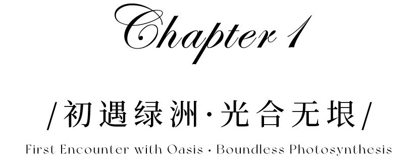 60d6637534ea0c8b2cbb3f8e1be03354 60d6637534ea0c8b2cbb3f8e1be03354