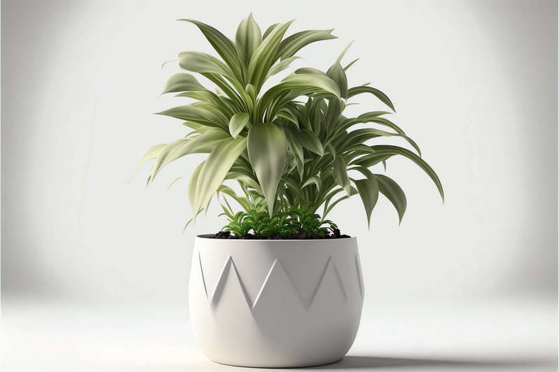 图片[49]-全球设计案例智能库_OJBKAI.COM盆栽花艺Midjourney灵感图库-_设计智库－全球设计案例智能库_OJBKAI.COM-全球设计案例智能库_OJBKAI.COM设计智库