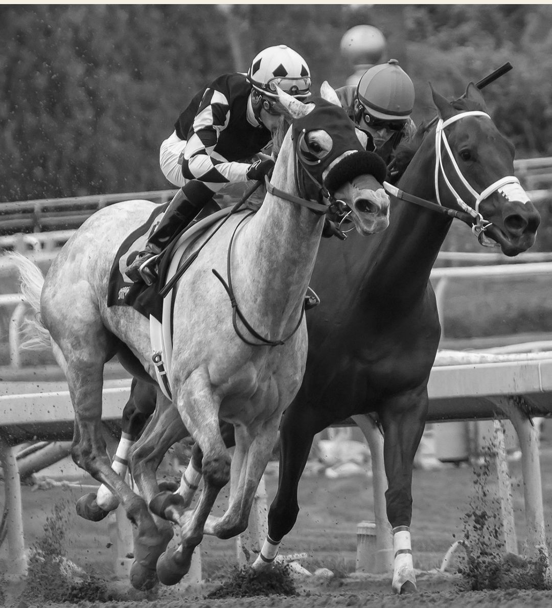 6e0da2c7965efeb68e204c4d1f889779 6e0da2c7965efeb68e204c4d1f889779