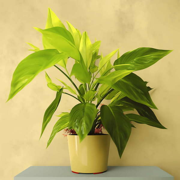 图片[51]-全球设计案例智能库_OJBKAI.COM绿植盆栽花艺Midjourney灵感图库-_设计智库－全球设计案例智能库_OJBKAI.COM-全球设计案例智能库_OJBKAI.COM设计智库