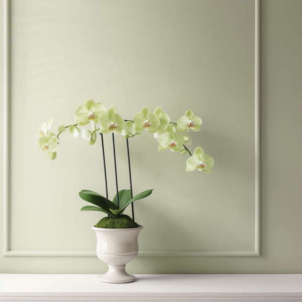 图片[41]-全球设计案例智能库_OJBKAI.COM仿真插花Midjourney灵感图库-_设计智库－全球设计案例智能库_OJBKAI.COM-全球设计案例智能库_OJBKAI.COM设计智库