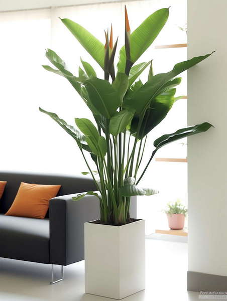 图片[42]-全球设计案例智能库_OJBKAI.COM绿植盆栽花艺Midjourney灵感图库-_设计智库－全球设计案例智能库_OJBKAI.COM-全球设计案例智能库_OJBKAI.COM设计智库