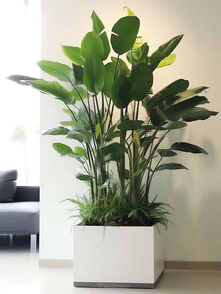 图片[41]-全球设计案例智能库_OJBKAI.COM绿植盆栽花艺Midjourney灵感图库-_设计智库－全球设计案例智能库_OJBKAI.COM-全球设计案例智能库_OJBKAI.COM设计智库