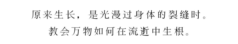 909f291e3171fe9983d3e03d0ddbedf5 909f291e3171fe9983d3e03d0ddbedf5