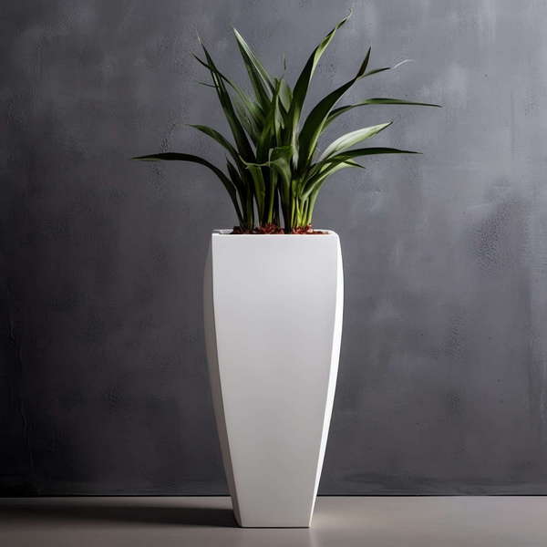 图片[5]-全球设计案例智能库_OJBKAI.COM绿植盆栽花艺Midjourney灵感图库-_设计智库－全球设计案例智能库_OJBKAI.COM-全球设计案例智能库_OJBKAI.COM设计智库