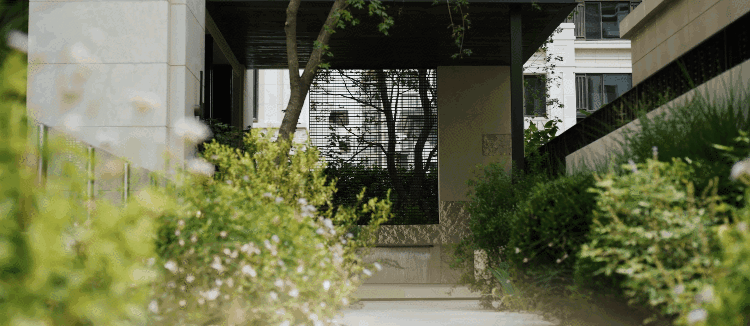 a2913341599d2f26b47d4cbc66c47b4e