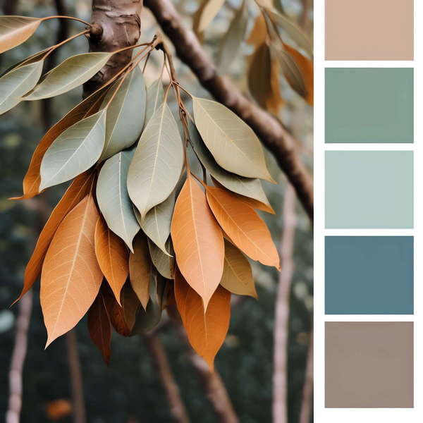 色彩搭配Midjourney灵感图库-_设计智库－全球设计案例智能库_OJBKAI.COM-全球设计案例智能库_OJBKAI.COM设计智库