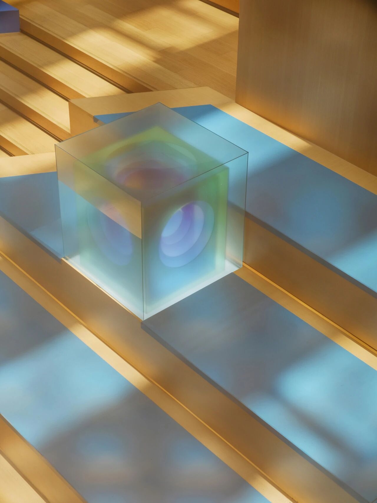 b817cd2b9050c712d8cfc52bd32ba181