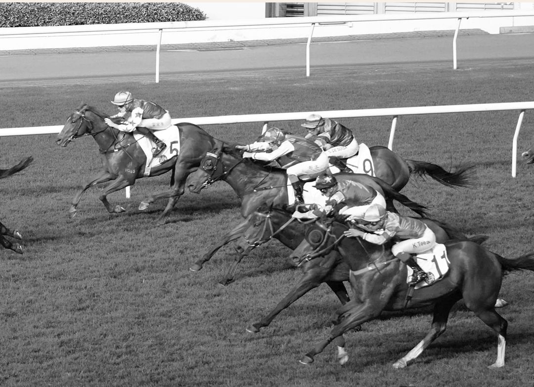 b932f6461c81c071f7ebd8f96625af52 b932f6461c81c071f7ebd8f96625af52