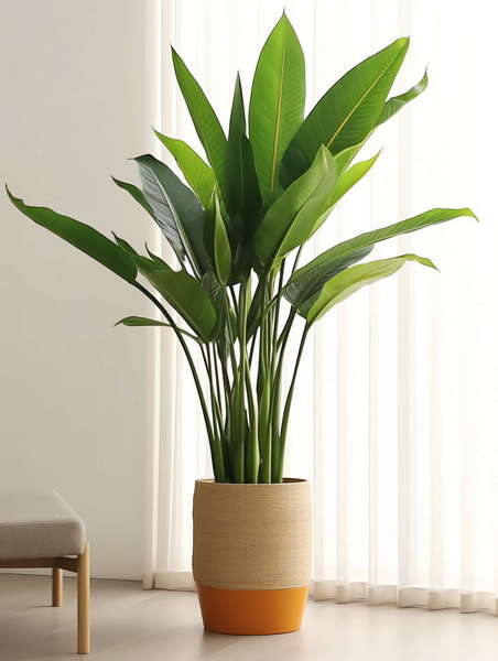 图片[43]-全球设计案例智能库_OJBKAI.COM绿植盆栽花艺Midjourney灵感图库-_设计智库－全球设计案例智能库_OJBKAI.COM-全球设计案例智能库_OJBKAI.COM设计智库