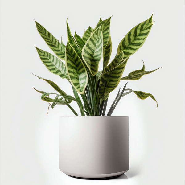 图片[46]-全球设计案例智能库_OJBKAI.COM盆栽花艺Midjourney灵感图库-_设计智库－全球设计案例智能库_OJBKAI.COM-全球设计案例智能库_OJBKAI.COM设计智库