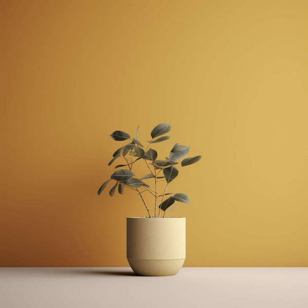 图片[43]-全球设计案例智能库_OJBKAI.COM绿植Midjourney灵感图库-_设计智库－全球设计案例智能库_OJBKAI.COM-全球设计案例智能库_OJBKAI.COM设计智库