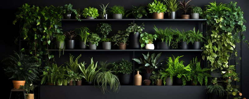 图片[31]-全球设计案例智能库_OJBKAI.COM植物墙绿化Midjourney灵感图库-_设计智库－全球设计案例智能库_OJBKAI.COM-全球设计案例智能库_OJBKAI.COM设计智库