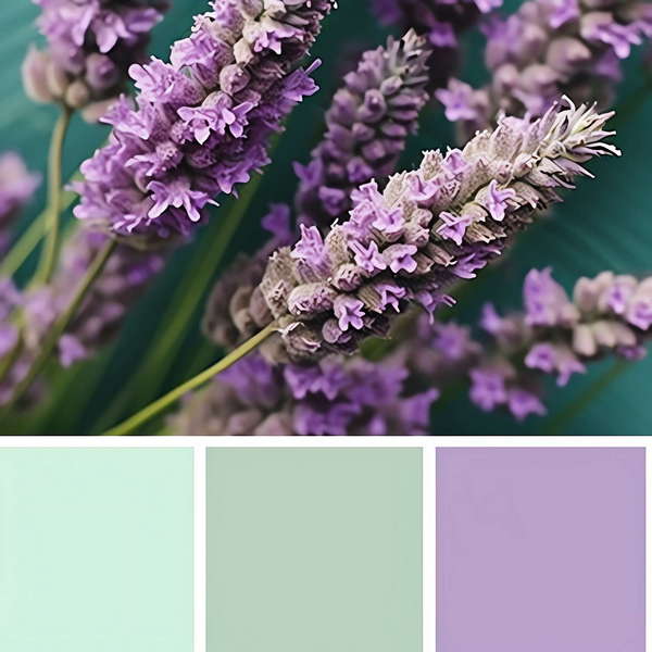 图片[20]-全球设计案例智能库_OJBKAI.COM色彩搭配Midjourney灵感图库-_设计智库－全球设计案例智能库_OJBKAI.COM-全球设计案例智能库_OJBKAI.COM设计智库