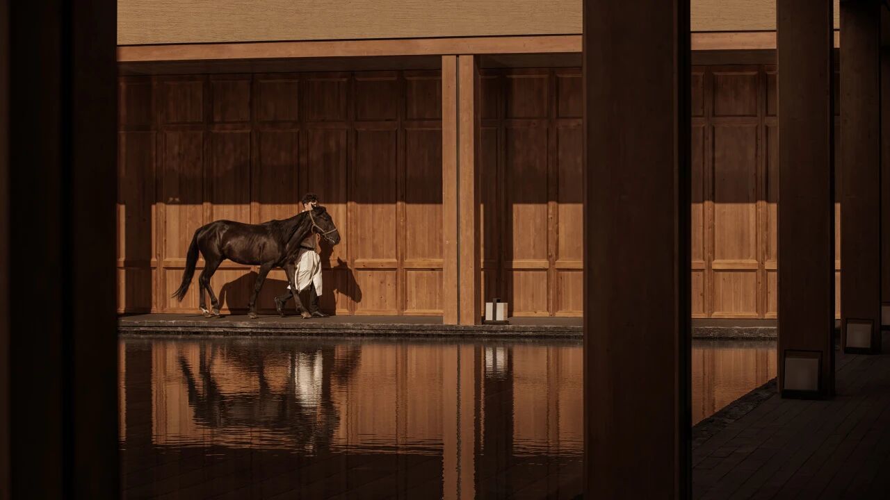 e8a743d89fae294f6154aba09a6c6551