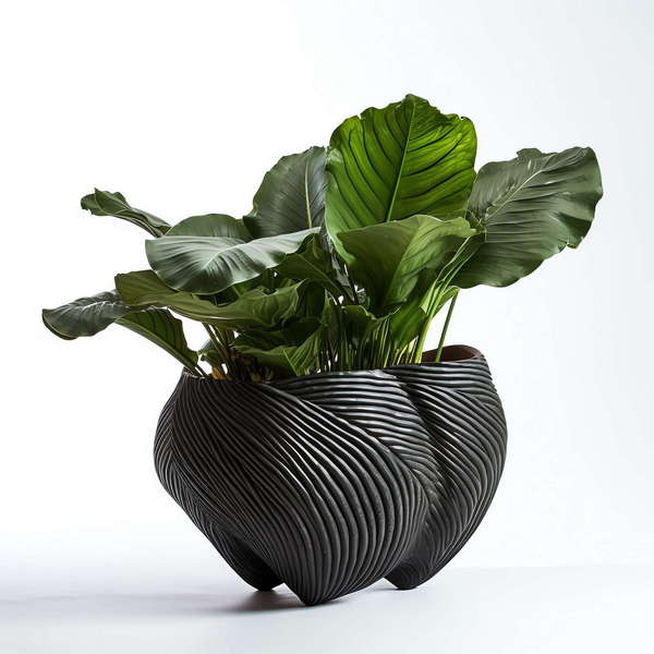 图片[13]-全球设计案例智能库_OJBKAI.COM绿植盆栽花艺Midjourney灵感图库-_设计智库－全球设计案例智能库_OJBKAI.COM-全球设计案例智能库_OJBKAI.COM设计智库