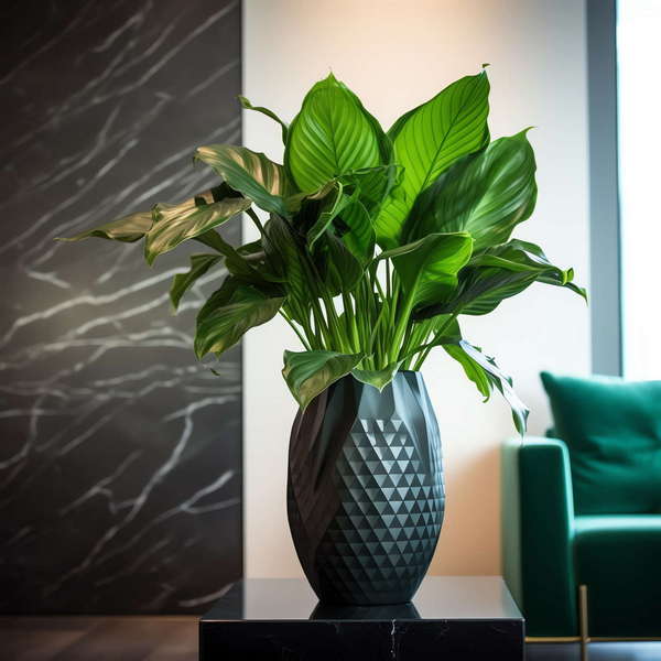 图片[25]-全球设计案例智能库_OJBKAI.COM绿植盆栽花艺Midjourney灵感图库-_设计智库－全球设计案例智能库_OJBKAI.COM-全球设计案例智能库_OJBKAI.COM设计智库