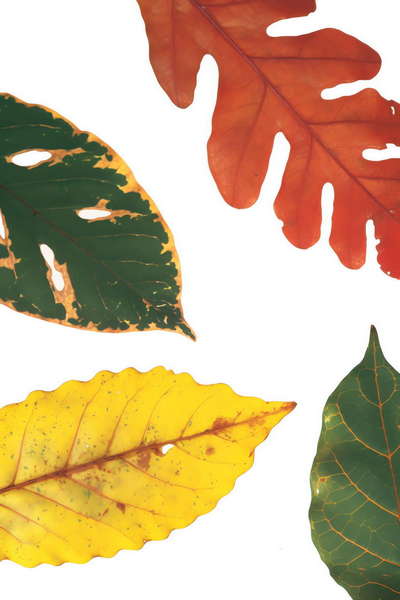 图片[4]-全球设计案例智能库_OJBKAI.COM壁纸Midjourney灵感图库-_设计智库－全球设计案例智能库_OJBKAI.COM-全球设计案例智能库_OJBKAI.COM设计智库